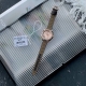 Coach蔻驰女士精致 帆布镶钻Boyfriend轻奢皮带手表 型号 14503151.表盘直径 34Mm. 专柜配套原包装