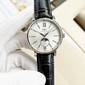 金 钢带+20。万国-Iwc精品男士腕表，技艺精湛，独具匠心，尊贵大气，绅士风范。采用全自动机械机芯，顶级316精钢表壳表带，矿物质超强镜面，尺寸42Mmad出