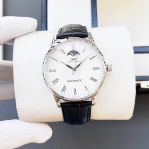 白 金620万国-Iwc精品男士腕表 ，技艺精湛，独具匠心，尊贵大气，绅士风范。采用全自动机械机芯，顶级316精钢表壳表带，矿物质超强镜面，尺寸42Mm
