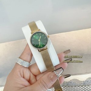 2024年春季dw 新品低调奢华女款经典表，镶钻表壳 石英机芯，合金材质与白金电镀，整体质感和气质都变了，精致感upup搭配小巧壳形，上手效果完美！尺寸28Mm