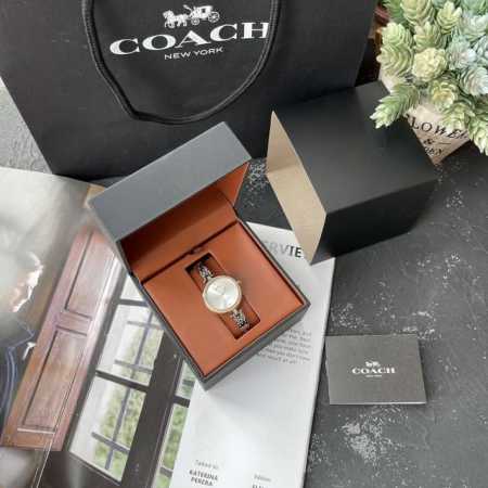 独家最新款！ Coach 蔻驰park系列 2021年新款优雅瀑布星手链表女表 时尚潮流轻薄的简约表盘搭配精致的表壳镶嵌一圈施华洛水晶 闪闪亮晶晶，时尚设计日辉 - 点击图像关闭