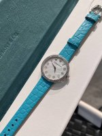 升级版无法抗拒的Tiffa 永恒无始无终，唯有此时此刻 这款腕表的表盘设计灵感源自20世纪六七十年代的一系列复古广告，每个时标分别镶嵌一颗采用不同切割方式的钻石