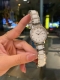 白 金 钢带20陶瓷 金 欧米茄-Omega女士腕表原装石英机芯 316L精钢表壳 矿物质玻璃镜面 精钢表带 28Mm厚8Mm如果今天的阳光停止了它耀眼的光芒。