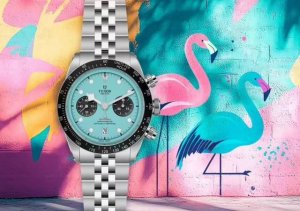 Tudor帝舵 碧湾计时型 Bla Bay Chrono 精钢款腕表！ 细致刻画表盘完美对称，纹路清晰、提升质感与美感！采用磨砂及磨光316L精钢打造！直径41