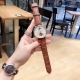 万国 Iwc 精品男士腕表，飞轮搭载月相设计，技艺精湛，独具匠心，尊贵大气，绅士风范。采用全自动机械机芯，牛皮表带，矿物质超强镜面，尺寸43*13