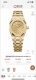 Ap爱彼霜金新款23Mm 904L钢带 完美出货