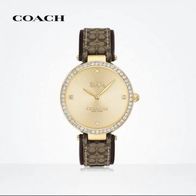 Coach 蔻驰park系列日晖纹表盘石英女士手表欧美腕表park的名字源自迷人的的纽约街道 表壳点缀的闪亮的水晶 展现迷人的气质 经典皮加帆布带 型号1460