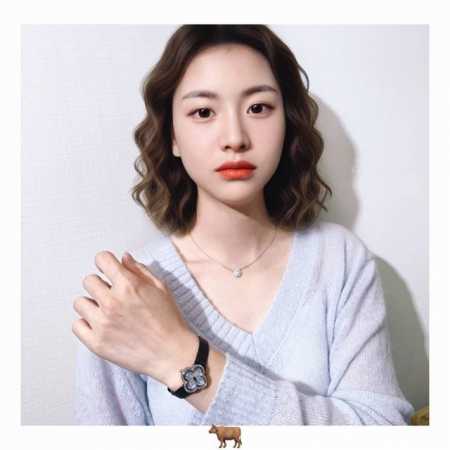 490加强版带子，金机芯 礼物首选“选满天星代表：幸福圆满” 品牌： & -梵克雅宝 系列：四叶草满天星 尺寸：27Mm，蓝宝镜面 表面: 镶嵌镀18K白金 材 - 点击图像关闭